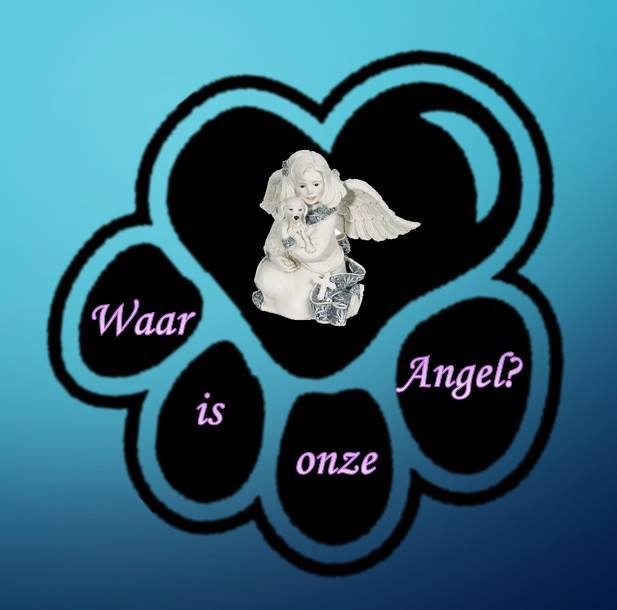 Waar is onze Angel?
